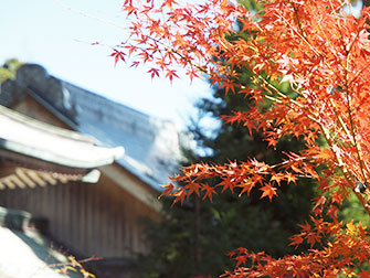 弘法寺の秋