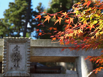 弘法寺の秋