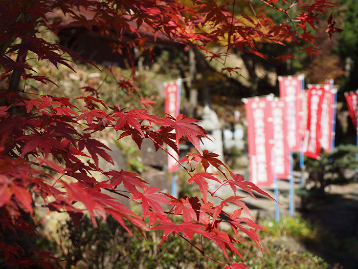 2015年9月18日火渡り護摩法要